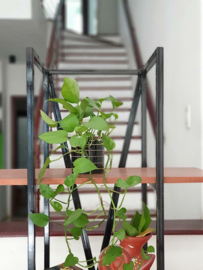 Apartmán T P House 3 Son Tra Exteriér fotografie
